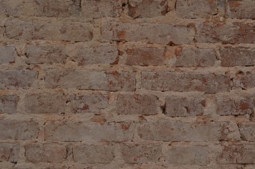 wall apparent brick home