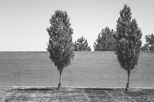 wall nature fence