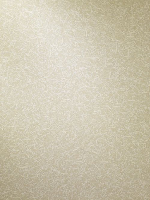 wall texture wallpaper