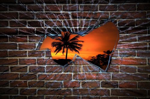 wall hole palm