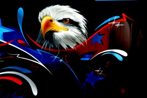 eagle graffiti wall wall art