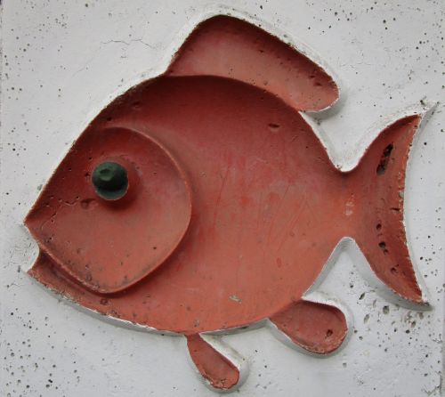 wall art fish animal