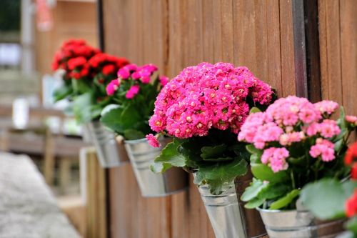 wall decoration flowers hanging flower