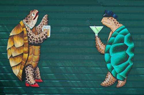 wall mural graphic art turtle