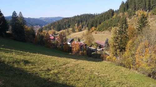 wallachia  landscape  forest