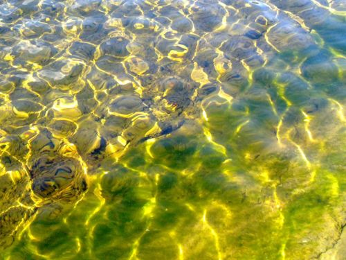 wallersee clear water reflections