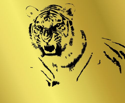 wallpaper animals tiger