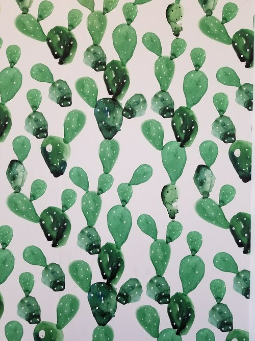 wallpaper  cactus  background