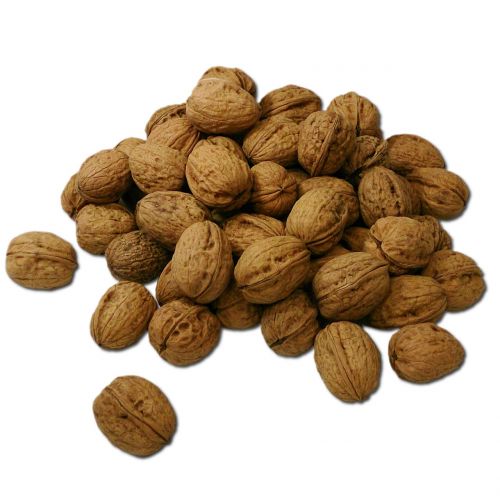 walnut walnuts nuts