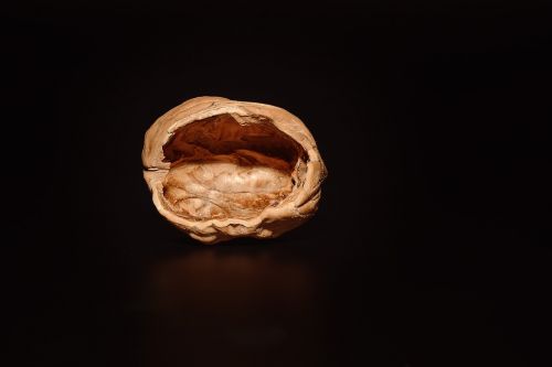 walnut empty open
