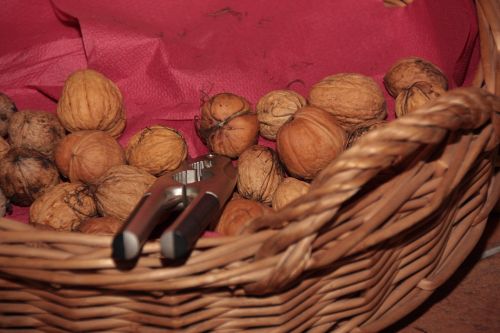 walnut basket walnuts in the basket