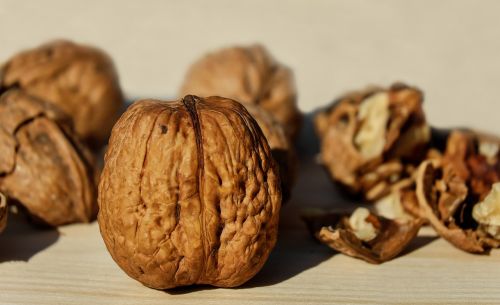 walnut nut brown
