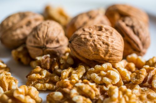 walnut nut walnuts