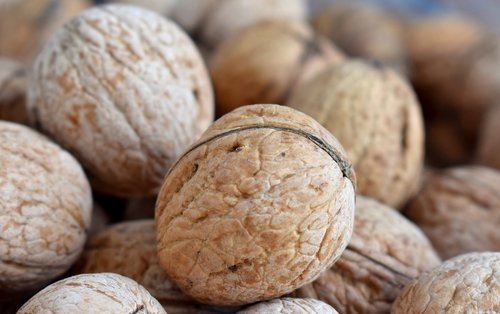 walnut  greek  healthy
