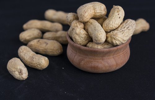 walnut  nuts  peanuts