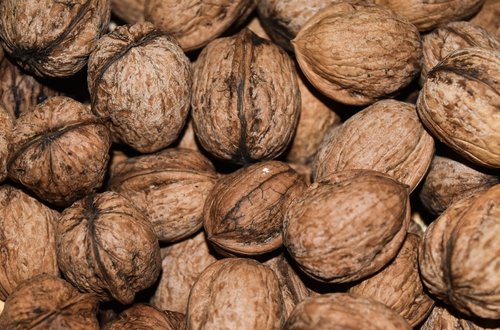 walnut  walnuts  food