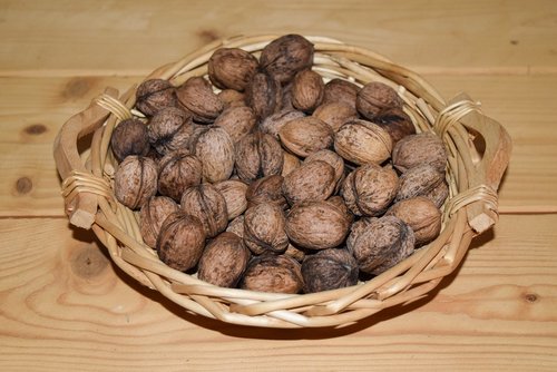 walnut  walnuts  food