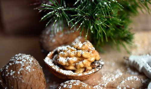 walnut  nut  christmas motif