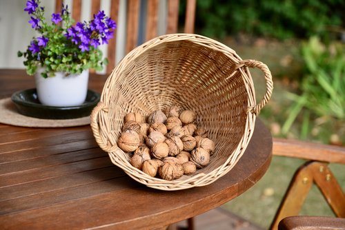 walnut  basket  autumn