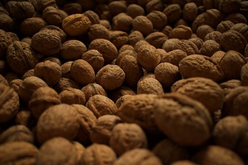 walnut  nuts  walnuts