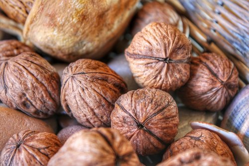 walnut  nut  brown