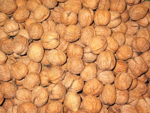 walnuts nuts healthy