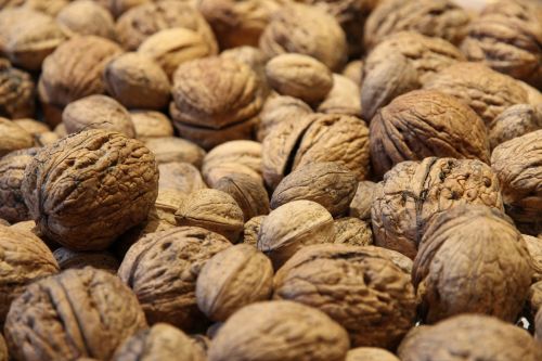walnuts walnut nuts