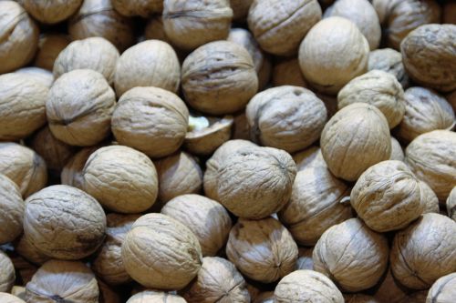 walnuts nuts macro