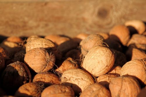 walnuts bark nuts