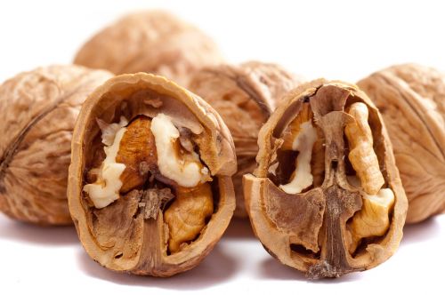 walnuts nuts brown