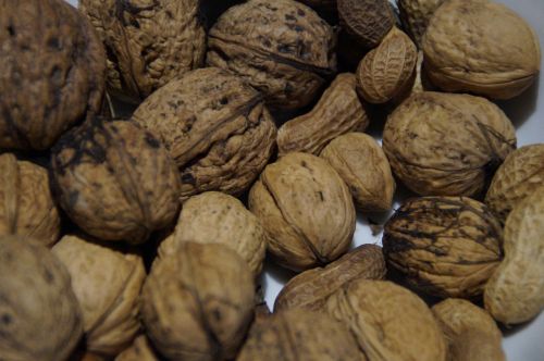 walnuts nuts nut
