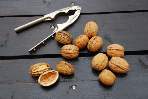 walnuts wood winter