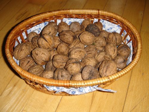 walnuts walnut autumn