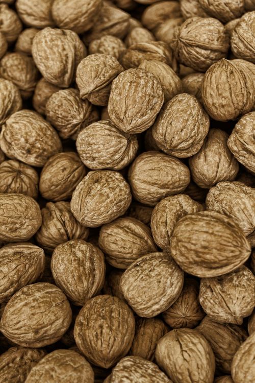walnuts nutshells nuts