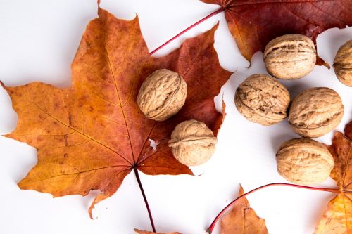 Walnuts And Red Leaves