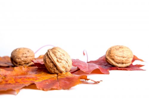 Walnuts And Red Leaves