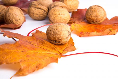 Walnuts And Red Leaves