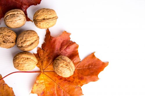 Walnuts And Red Leaves