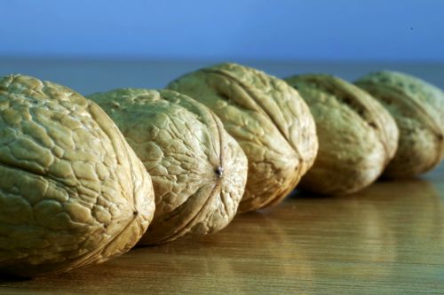 walnuts walnut healthy food walnut