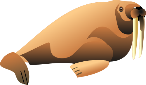 walrus brown shaded