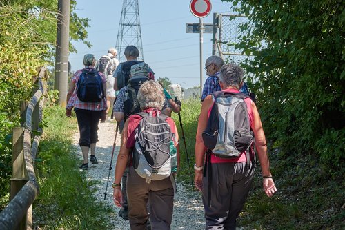 wanderer  group  hiking