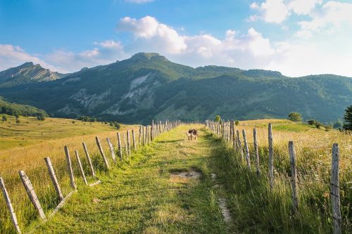 wanderlust hiking mountains