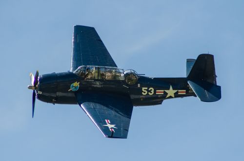 warbird propeller airplane