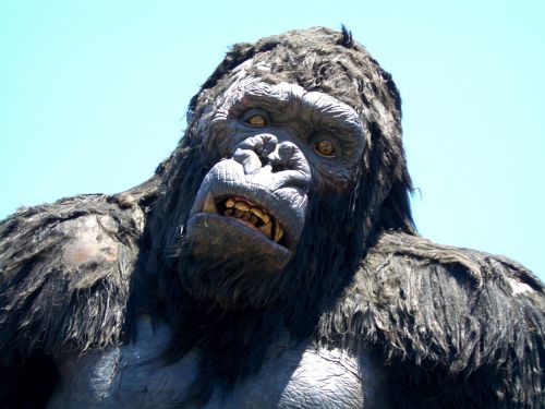 warner brothers king kong gorilla