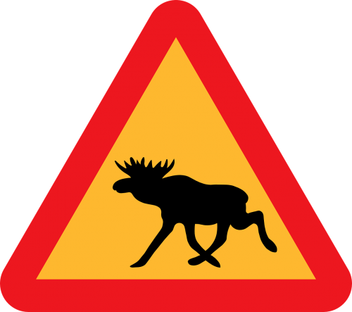 warning moose animal