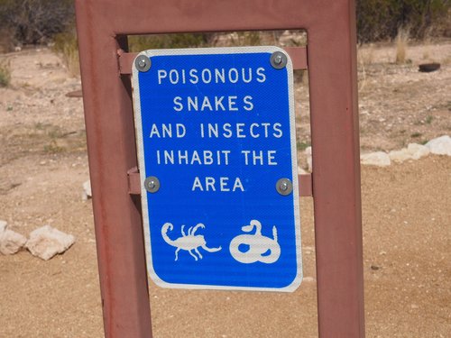 warning sign  poisonous snake  danger