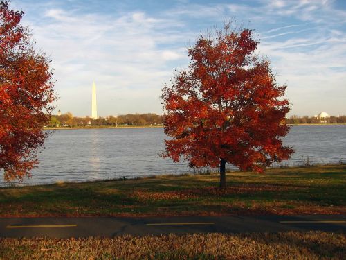 washington dc virginia washington monument