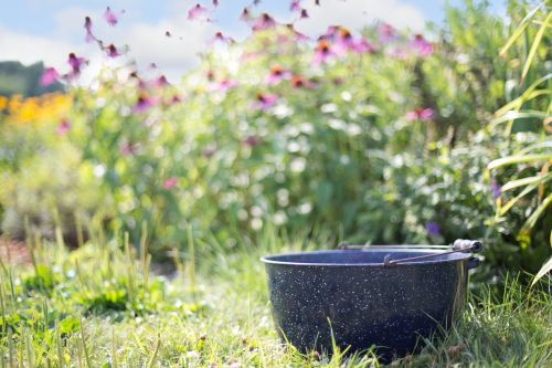 washtub kettle nature