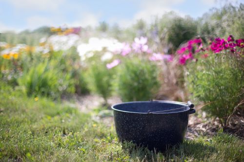 washtub kettle nature