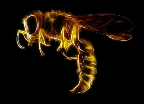 wasp insect sting